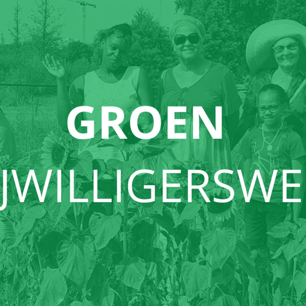 Friday Gardening at Bloei & Groei 1
